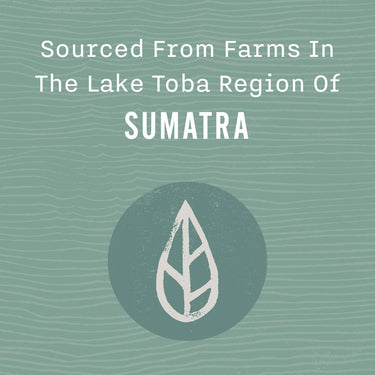 Allegro Coffee, Coffee Sumatra Lake Toba Whole Bean, 12 Ounce